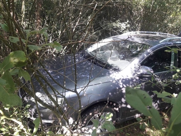 Vogtu automobiliu važiavusio esto krūmynai neišgelbėjo