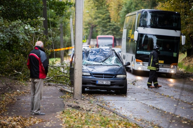 „Lietuvos draudimas“ šiemet atlygino rekordinę sumą už audrų žalas