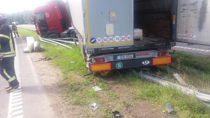 Sprogusi vilkiko padanga virto ekologine nelaime