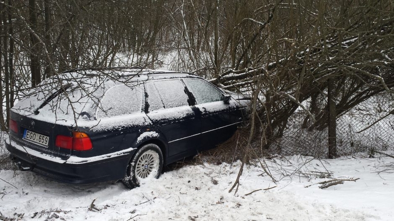 BMW avarija Kaune: įlėkė į griovį ir užvirto medis
