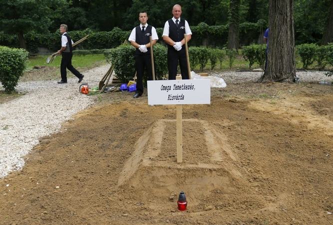 Vengrijoje vyko duobkasių varžybos