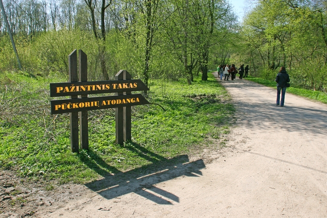 Dėl statomo namo Pavilnių regioniniame parke – į teismą