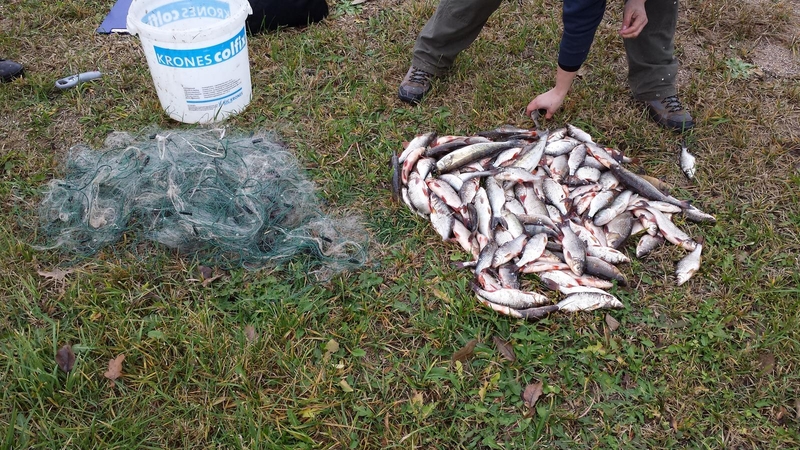 Prie Kauno marių įkliuvę brakonieriai – Viešojo saugumo tarnybos darbuotojai 