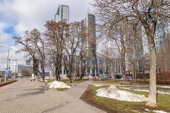 Vilniečių iniciatyva: miesto centre kuriamas eksperimentinis skvero apželdinimo projektas