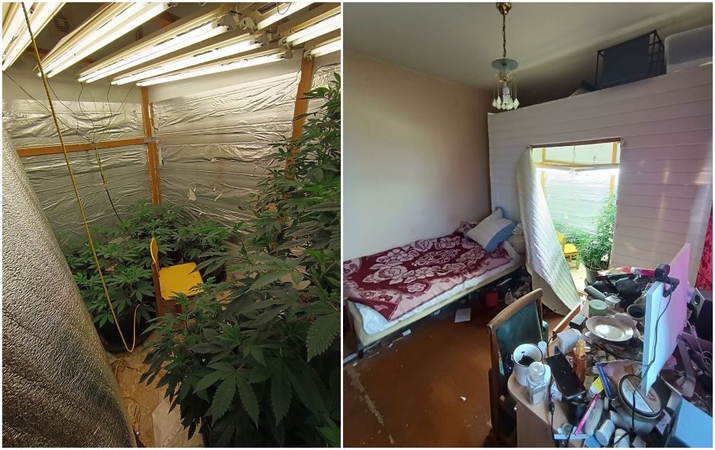 Sulaukę skundo apie „žolės“ kvapą pareigūnai apstulbo: butas paverstas kanapių auginimo laboratorija