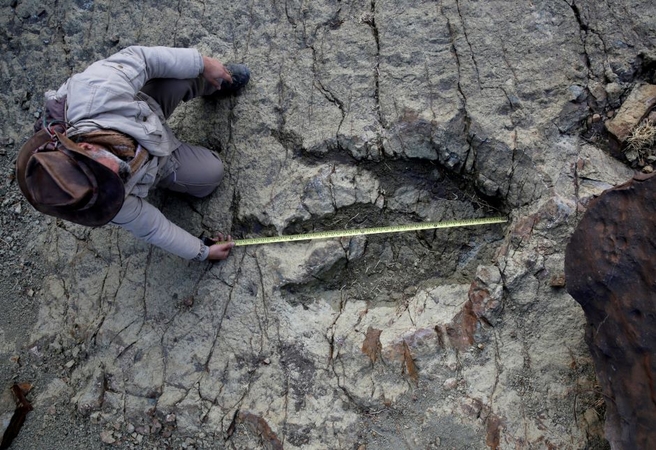 Atradimas: rasti beveik identiški dinozaurų pėdsakai, nutolę vienas nuo kito 6 tūkst. km atstumu, patvirtinantys senovinio superkontinento, vadinamo Gondvana, egzistavimą.