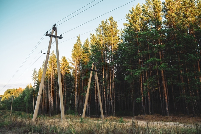 Energetikos ministerija siūlo platinti proskynas šalia elektros tinklų