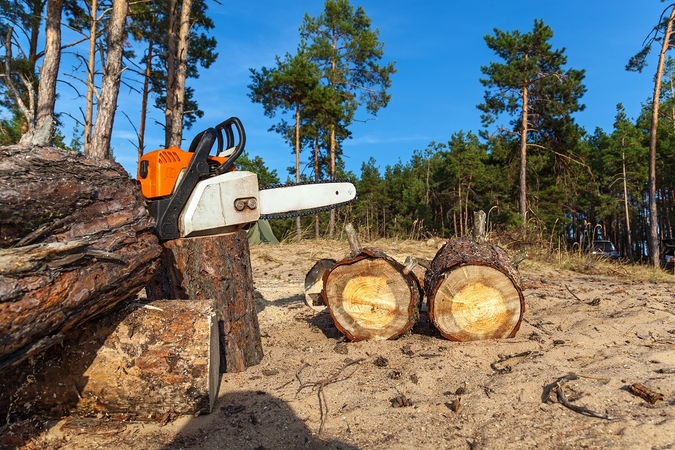 Aplinkosaugininkai sunerimę: tebenaudojama pasenusi miškų kirtimų normos metodika  