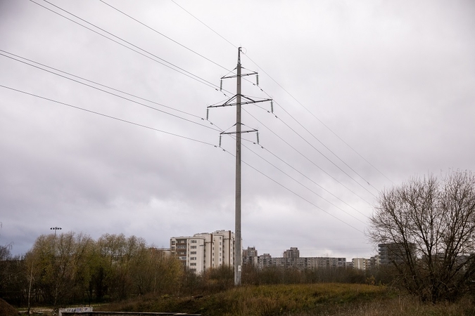 Seime skinasi kelią visuomeninė elektra smulkiems, pažeidžiamiems vartotojams