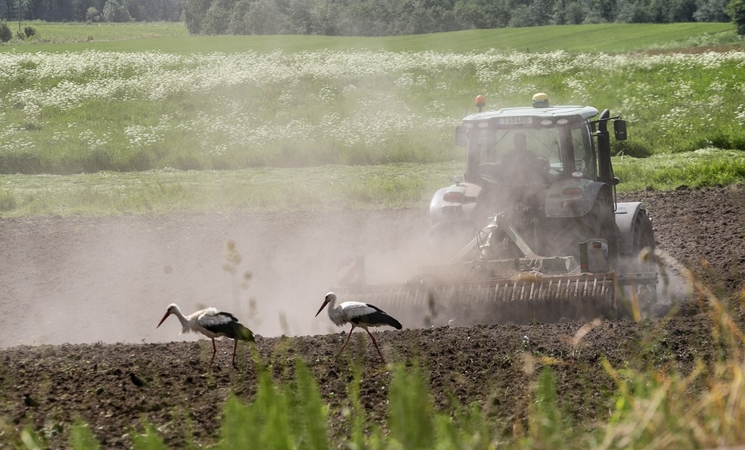 Siūloma kitąmet ūkininkams netaikyti kai kurių reikalavimų