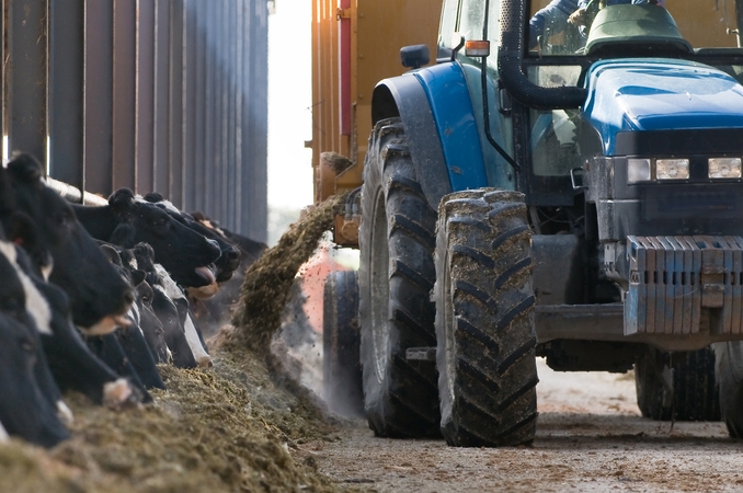 Greičiau ir efektyviau: žemės ūkio produktų perdirbėjams parama atveria naujų galimybių