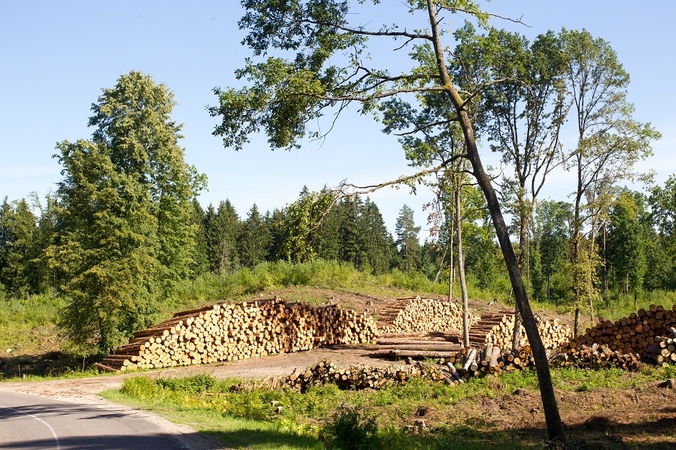 Baigėsi kirtimų draudimas saugomų teritorijų miškuose