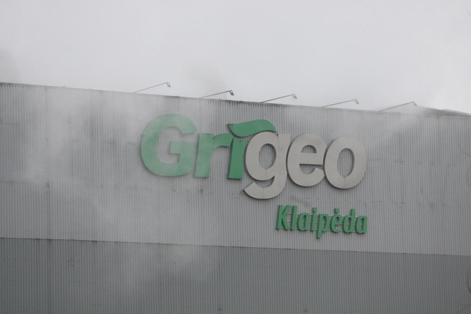 Skandalo epicentre atsidūrusi „Grigeo“: į ką buvo investuota pusė milijono?