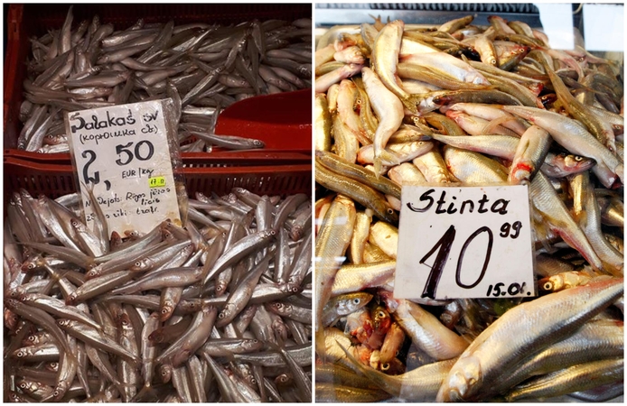 Pokyčiai: 2013 m. sausio 11 dieną turgavietėje stintos kainavo nuo 10 iki 11 litų už kilogramą –  tai tuomet buvo laikoma itin aukšta kaina.