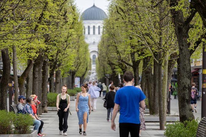 Kauniečių diena (2025-04-19)