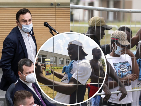P. Gražulis įregistravo projektą: siūlo įdarbinti nelegalius migrantus