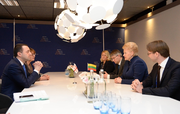 Prezidentė su užsienio šalių vadovais Hagoje aptarė krizę Ukrainoje