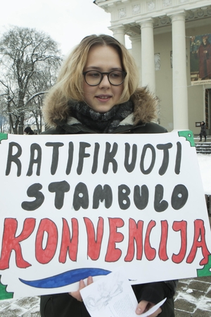 Stambulo konvenciją būtų galima ratifikuoti, bet su išlygomis?