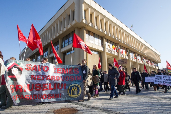 Seimo pirmininkė: yra tikimybė suspėti referendumą surengti gegužės 25 dieną