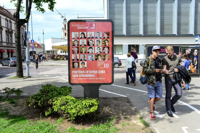 Politologė: problema dėl politinės reklamos užkoduota pačiame įstatyme