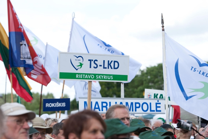 Daugiausia pajamų pernai gavo konservatoriai ir socialdemokratai