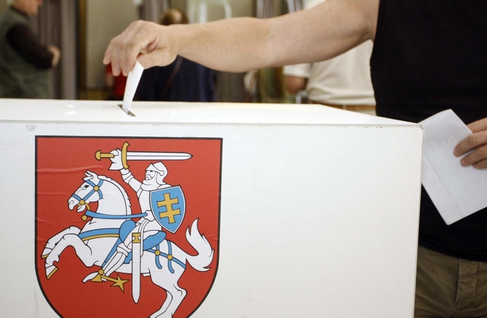 Referendumą dėl dvigubos pilietybės planuojama surengti gegužės 12-ąją