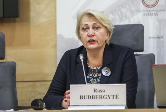 R. Budbergytė: laukia neramūs metai – ir žmonėms, ir valdžiai