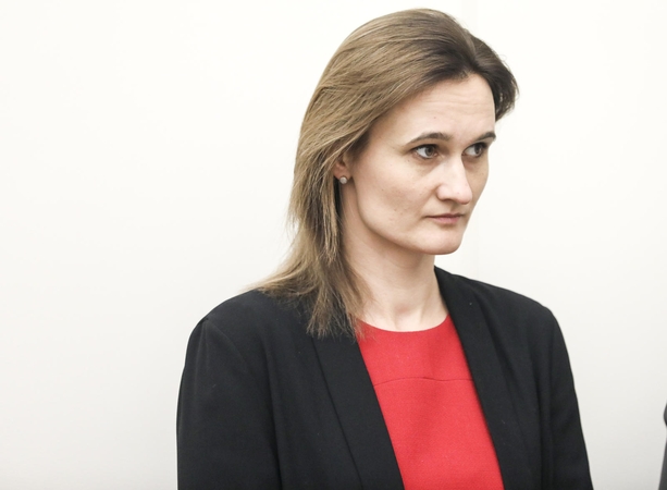 V. Čmilytė-Nielsen: R. Karbauskis ir premjeras gali užstoti J. Narkevičių