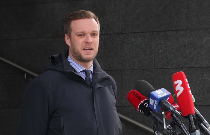 G. Landsbergis apie V. Mizaro kandidatūrą į KT: viliuosi, Seimas palaikys