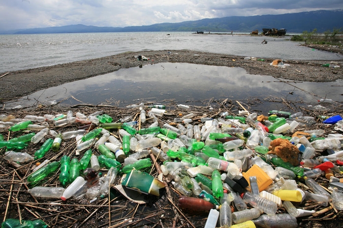 Plastiko amžius: šiukšlės gimdo pavojingus virusus ir plastiko uolienas