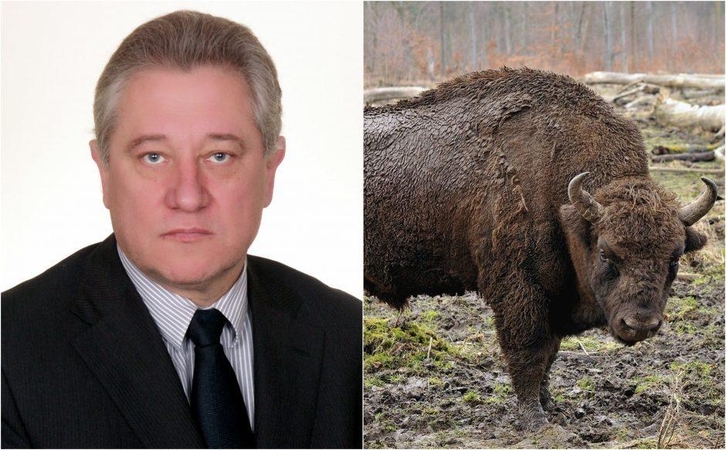 Prokurorai pradėjo tyrimą dėl nušautos stumbrės
