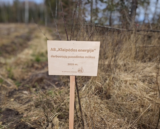 „Klaipėdos energijos“ darbuotojai pasodino Laisvės mišką