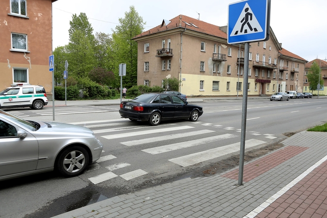 Verslininko planams – kritika