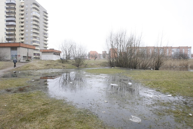 Brožynų kūdrą parduos aukcione