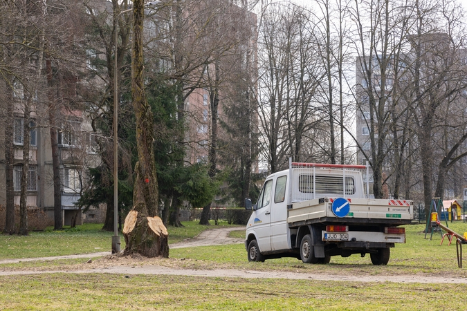 Kaunietė: liepos niekam netrukdė