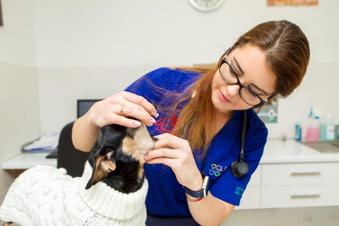 Veterinarė: kartais augintiniai kosėja taip, tarsi gerklėje būtų kažkas įstrigę