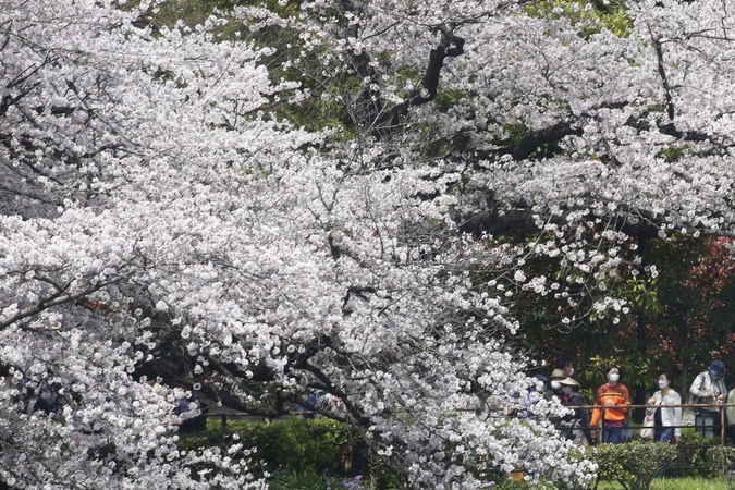 Asociatyvi nuotr.