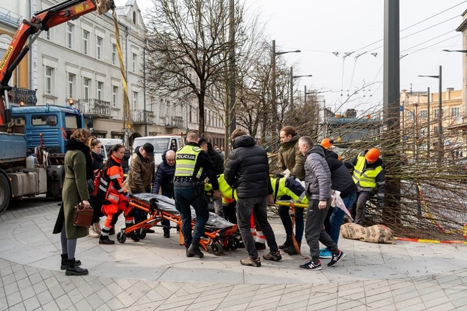 Daugiau detalių apie nelaimę Laisvės alėjoje: paaiškino, kaip sužalotas liepą sodinęs darbininkas