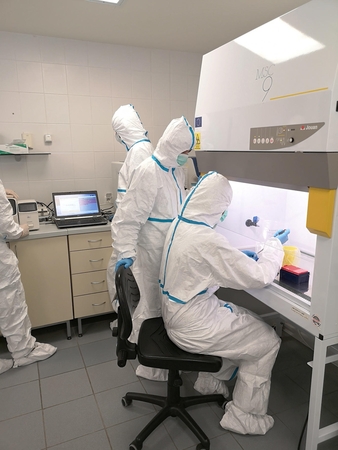 NMVRVI laboratorijoje per parą ištiriama per 500 mėginių dėl COVID-19