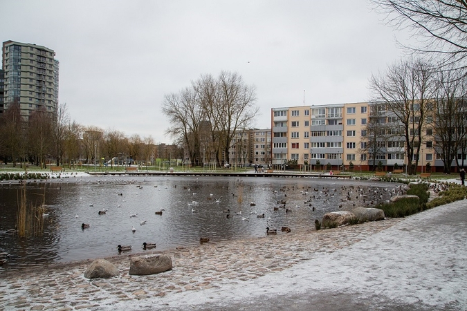 Klaipėdoje baigta tvarkyti Ąžuolyno giraitė