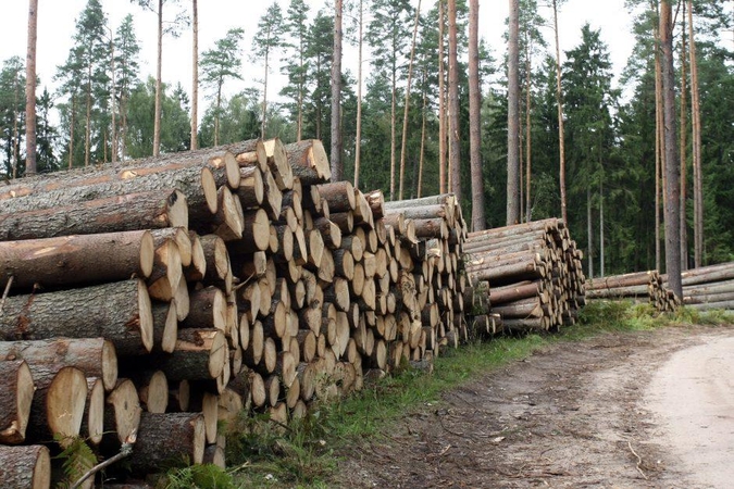 Seime skinasi kelią miško žemės įsigijimo ribojimai