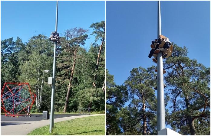 Neįprastas reginys: Poilsio parke – batų medis