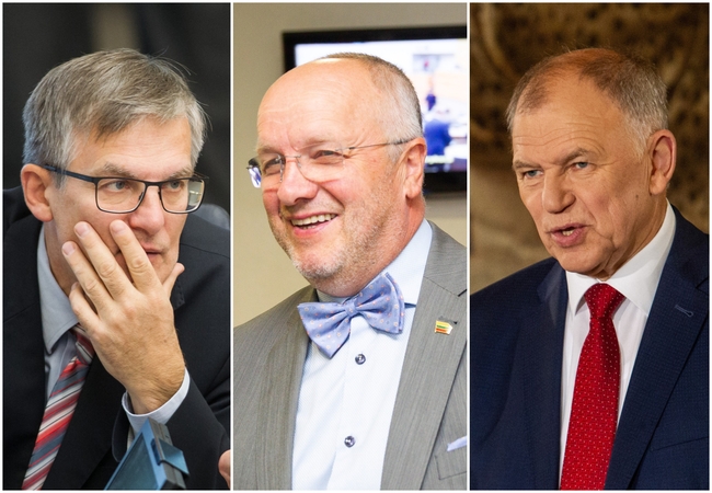 Socialdemokratų senbuviai tikisi, kad naujasis parlamentas bus demokratiškesnis