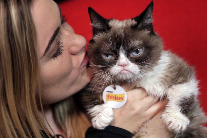 Nugaišo ko gero populiariausia pasaulyje katė „Grumpy Cat“