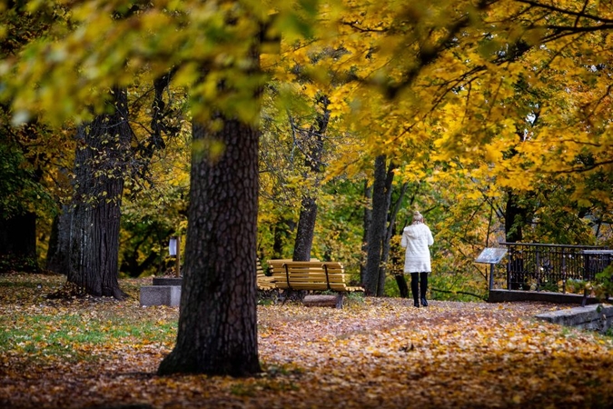 Savaitės pradžioje orai keisis: daugės debesų ir lietaus