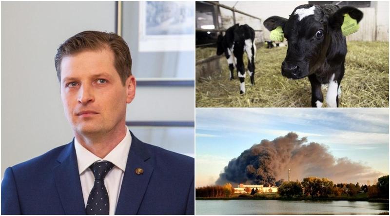 K. Mažeika: iš prekybos išimtas pienas yra atsainaus gyventojų požiūrio pasekmė