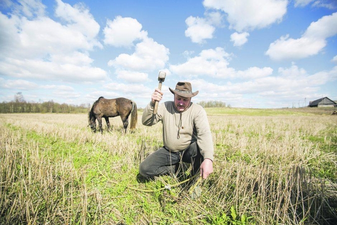 Lietuvos ūkininkai Briuselyje reikalaus didesnių tiesioginių išmokų