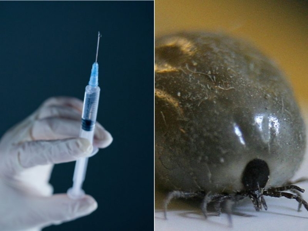 Kauno apskrityje – antras šiemet mirties nuo erkinio encefalito atvejis šalyje