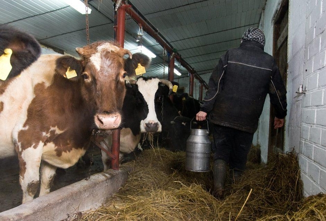 Dėl Alytaus rajono ūkininkų problemų Žemės ūkio rūmai kreipėsi į ministrą