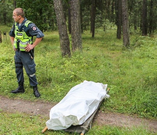 Anykščių rajone ant kelio rastas negyvas vyras